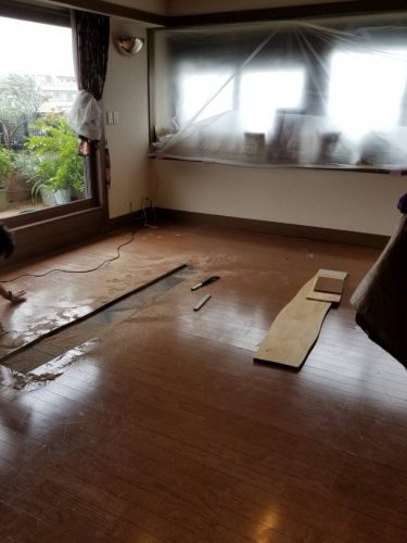 フローリング・カーペット張替え